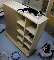 The Screen Developed By Partitioning One Ikea Kallax Shelving Unit Download Scientific Diagram