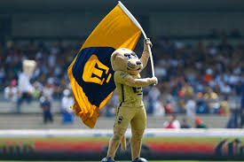 The national polytechnic institute of mexico (spanish: La Relacion Pumas Unam Es Un Ganar Ganar Apuntes De Rabona