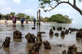 Pantai kutang lamongan paciran arah denah foto gambar gps jalan jalur letak lokasi tuban mitos 2021 daerah jawa timur dimana gresik itu jatim kabupaten kentong namun siapa sangka bahwa disekitar wisata bahari lamongan (wbl) terdapat pantai indah dan unik? Berkat Namanya Yang Unik Pantai Ini Justru Populer Di Lamongan Mongabay Co Id