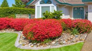 Büsche im garten pflanzen obwohl die meisten büsche zu den pflegeleichten pflanzen im garten gehören, sollten gartenfreunde einige hinweise beachten. 7 Moglichkeiten Schone Straucher Im Garten Zu Haben Trendomat Com