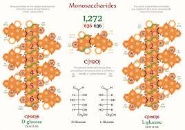 Tetryonics 59 02 Monosaccahrides Are The Simplest Form Of Sugar And Are Usually Colorless Water Soluble Crystalline Crystalline Solid Simplest Form Simple