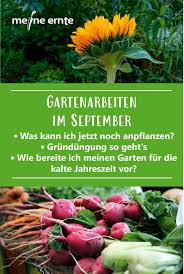 Gartenarbeiten Im September Gemuse Anpflanzen Garten Anpflanzen Garten