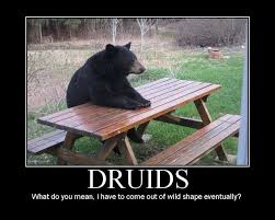 Druids No One Need Know That You Upgraded Your Chest Armour And Didn T Re Mog It To Match The Rest Of Your Mogged Gear D Cute Animals Black Bear Animals