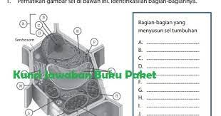 We did not find results for: Lengkap Kunci Jawaban Buku Paket Ipa Uji Kopetensi Kelas 7 Semester 2 Halaman 26 27 Kurikulum 2013 Kunci Jawaban Buku Paket Terbaru Lengkap Bukupaket