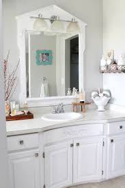 Shop our widest selection of modern and traditional bath vanities at bathroom vanities and bathroom cabinets to fit any style. Bathroom Cabinet Organizer Ideas Clean And Scentsible