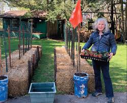 Let us take your attention to the backyard ideas for your house where you can create something to make it look more. Home Gardening Embraced Locally New Jersey Sustainability Reporting Hub