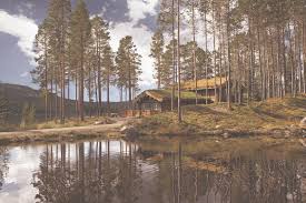 Terwijl ik op een druilerige regendag thee zit te drinken bij een vriendin, klapt ze haar laptop open om me iets te laten zien. Welkom Bij Go North Go North