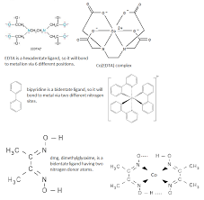 (c) in this example, the coordination sphere has a cationic charge of 2+. What Is The Name Of Bidentate Ligand Dmg Hostingrenew