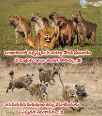 A fake friend is like a shadow. Nammakam Quotes In Telugu Inspirational Telugu Quotes Life Lessons Learnt In Life Quotes Garden Telugu Telugu Quotes English Quotes Hindi Quotes