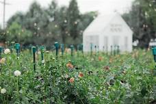 Sunday Dinner in the Field at Slupik Mini Farm