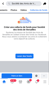 J'ai choisi cette association car sa mission me tient à cœur et j'espère que vous pourrez lui donner un petit coup de pouce pour · merci d'avoir choisi de fêter votre anniversaire avec une collecte de fonds, clotilde. Soutenir La Societe Grace Aux Dons Sur Les Reseaux Sociaux Les Chroniques Des Amis De Versailles
