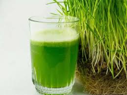 What Is Wheatgrass Health Benefits Side Effects