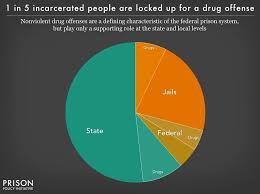 pie chart showing the portion of people incarcerated in