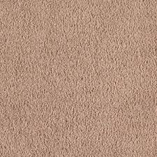 Soft Collection Santa Rosa I Color Neutral Ground 12 Ft Carpet 0316d 30 12 At The Home Depot Carpet Samples Plush Carpet Dream Big