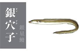 営業時間 … 11:00〜14:00／17:00〜20:00 定休日 … 火曜日 ＞ご利用ガイド ＞特定商取引法に基づく表示 ＞プライバシーポリシー è¯å¾¡çµhana Musubi æ˜Ÿé°»å'Œé°»é­šçš„åˆ†åˆ¥ Facebook
