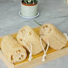 Image result for Luffa