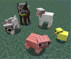 Are there any cuter animals in minecraft bedrock? Baby Animals Model Swapper Squickens Mod 1 8 1 7 10 Minecraft Animal Baby Animals Animals