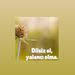 Oto Koltuk Yikama Doseme Temizligi Arnica Hydra Rain Plus Hali Yikama Makinasi Youtube Dosemeler Koltuklar Hali