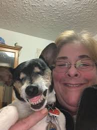 Rat Terrier Club of Montgomery PA. (RTCMCPA)