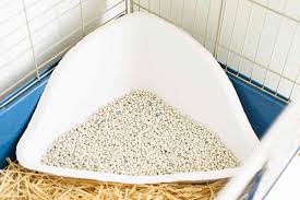 What is the best indoor rabbit cage? How To Clean A Rabbit Cage