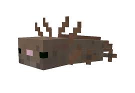 It will be available in the caves & cliffs update which is java edition 1.17 and bedrock edition 1.17.0 (for pocket edition, windows 10, xbox one, ps4, and nintendo switch). Axolotls Add On Minecraft Pe Mods Addons