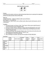 Small, thin and flat tipped beak 3: Beaks Of Finches Lab Worksheets Teaching Resources Tpt