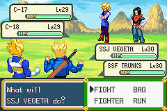 I've made this game from pokémon fire red. Dragon Ball Z Team Training