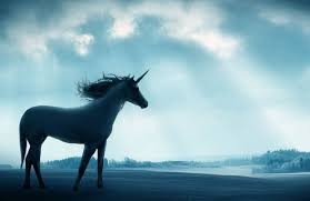 صور حصان وحيد القرن Unicorn Images Unicorn Facts Mythical Creatures
