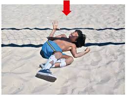 Diogo mainardi 20 08 2012. Dica De Livro A Queda Diogo Mainardi