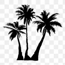 Pin the clipart you like. Black Coconut Tree Silhouette Images Black Coconut Tree Silhouette Transparent Png Free Download