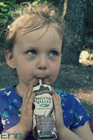 Shelf Safe Milk: Anytime, Anywhere