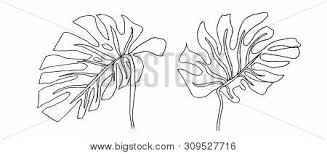 Choose 4 prints and add them to your cart. Contour Line Drawing Vector Photo Free Trial Bigstock