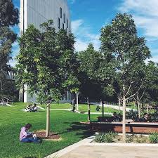 Instagram Photo By Deakin University May 16 2016 At 3 25am Utc Study Abroad Australia Australia Visa Beautiful Spots