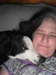 Border collies as loving companions