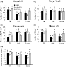 Oh my nasib hero herlok hensem kekdahnya hahahah. Transcription Factor Wrky46 Modulates The Development Of Arabidopsis Lateral Roots In Osmotic Salt Stress Conditions Via Regulation Of Aba Signaling And Auxin Homeostasis Ding 2015 The Plant Journal Wiley Online Library