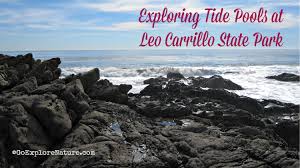 exploring tide pools at leo carrillo state park