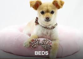Our calming beds are proven to reduce your dogs stress and anxiety by providing them with a better nights sleep. Luxury Pet Boutique Dog Clothes Accessories Posh Puppy Boutique