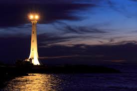 The Light Of Hope Precious Sheep Of Renown
