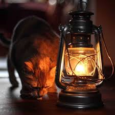 İlk 11'i̇mi̇ze 7 futbolcu ekle! Feuerhand Gazli Fener Nasil Kullanilir