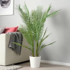 Fejka Artificial Potted Plant Indoor Outdoor Palm Ikea Artificial Potted Plants Artificial Plants Potted Plants Outdoor