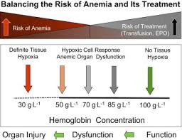 Akan tetapi kalau anda menggunakan angka 103.194 l70 153, di pastikan yang keluar video dan konten menarik jebolan dari eropa. Update On Blood Conservation For Cardiac Surgery Journal Of Cardiothoracic And Vascular Anesthesia