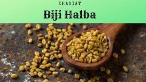 Wah, ternyata memiliki banyak khasiat ya? Biji Halba Inana