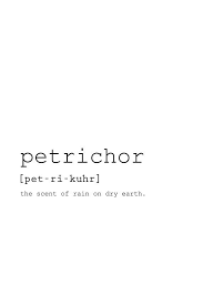 Petrichor Definition Home Definition Print Art Quotes Printable Housewarming Gift Birthday Gift Petrichor Meaning Printable Wall Art Unusual Words Rare Words One Word Quotes