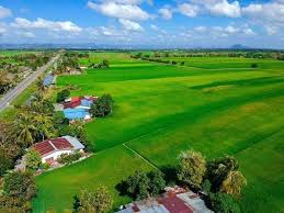 Ini senarai 8 resort tepi bendang di langkawi, kedah Panorama Indah Sawah Jalan Jalan Cari Makan Di Kedah Facebook