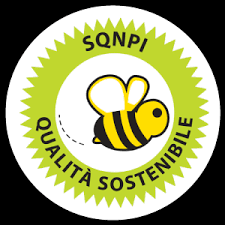 Risultati immagini per logo sqnpi