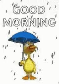 The drizzling drops of rain, the sound of. Good Morning Rain Gifs Tenor