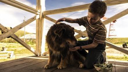 Resource - The Young and Prodigious T. S. Spivet - Into Film
