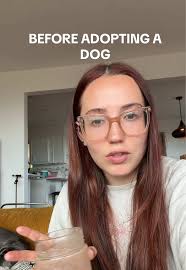 Essential Tips Before Adopting a Dog This Christmas