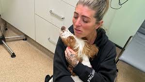 Fundraiser for Charlotte Croucher by Katrina Binfield : Help save  Charlotte's beautiful girl CeCe