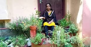 Growing moss rose from cuttings After Husband Loses Job Kerala Woman Turns Entrepreneur Via 100 Varieties Of Roses